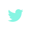 twitter-icon-image