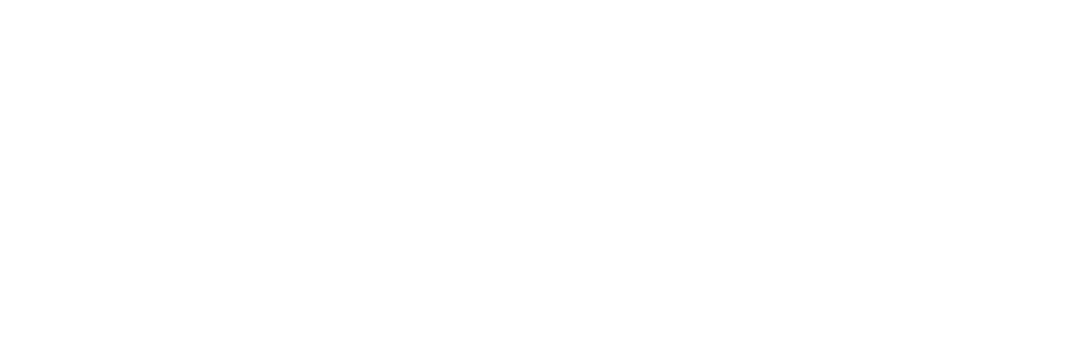 livlive text logo white